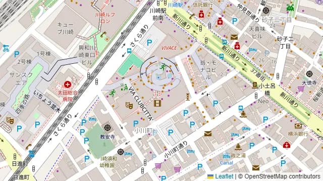韓国料理&BBQ ペゴッパヨ 川崎本店の周辺地図