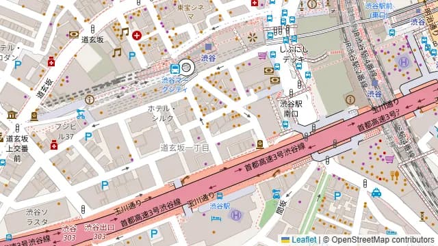 渋谷ガーデンホールの周辺地図