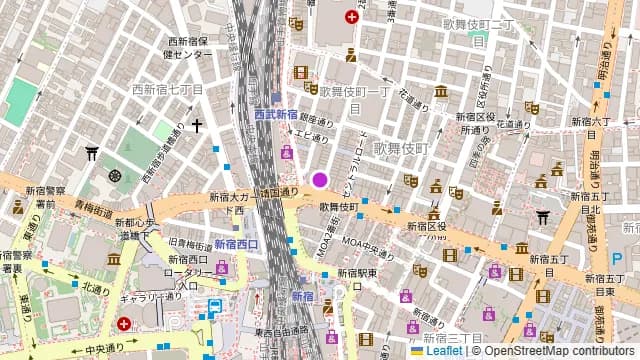新宿歌舞伎町テラスBBQ EDENの周辺地図