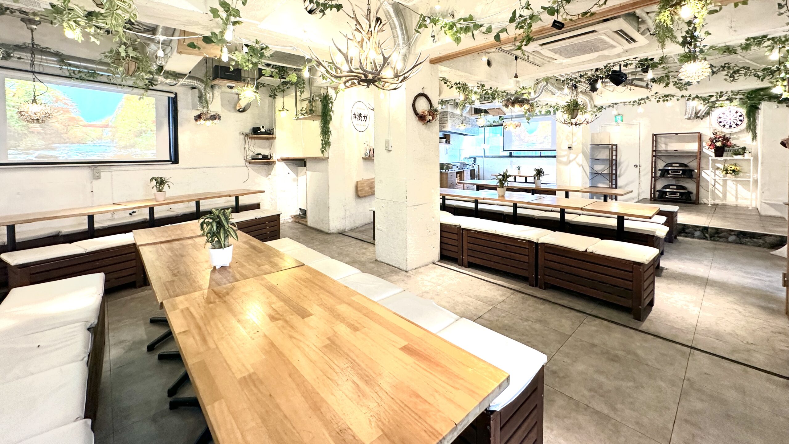 渋谷×貸切×大人数　お店画像