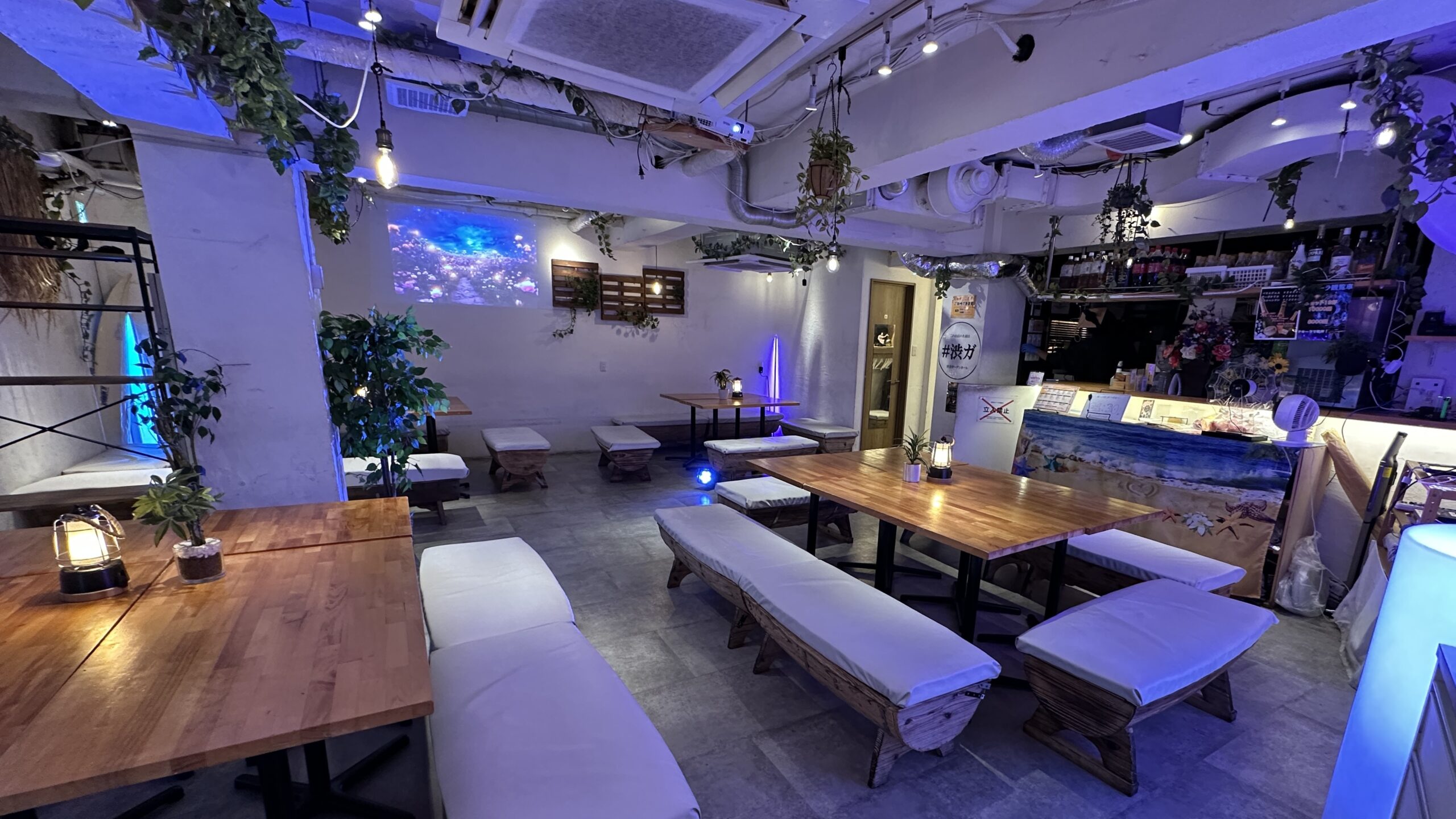 渋谷　貸切　卒業パーティー/追いコン