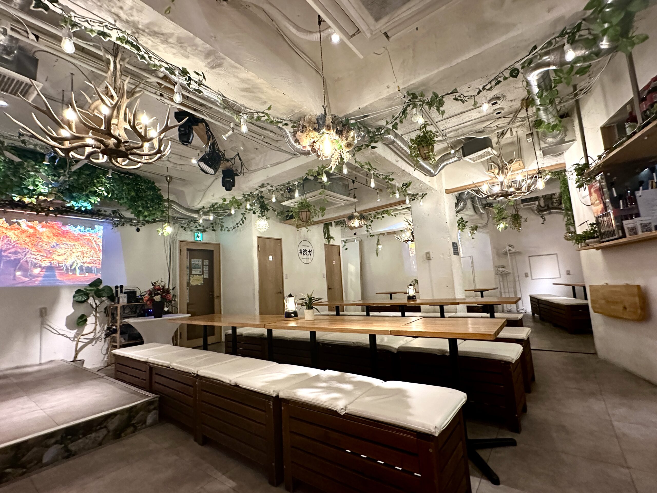 渋谷　貸切　卒業パーティー/追いコン