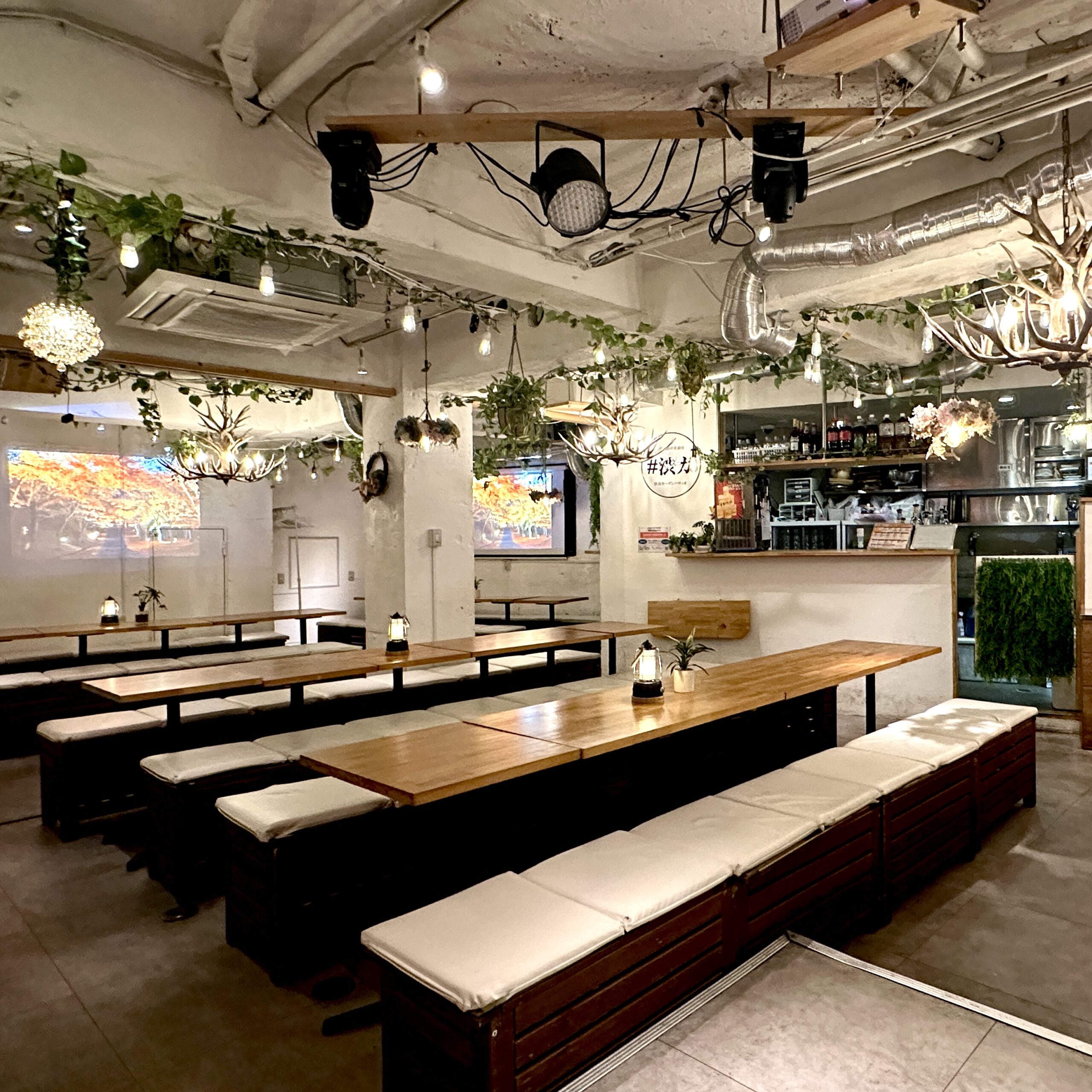 渋谷　貸切　追いコン