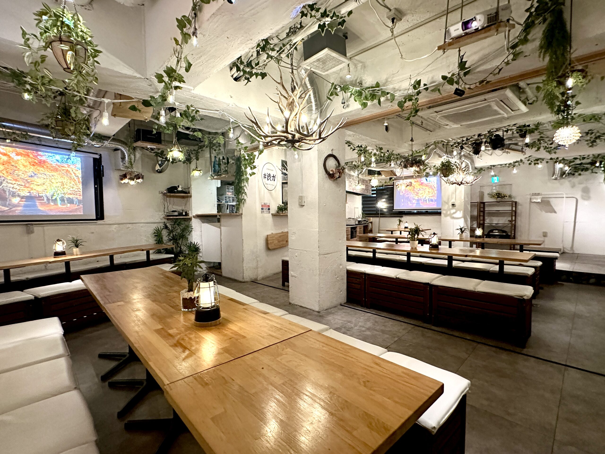 渋谷　貸切　忘年会　50人