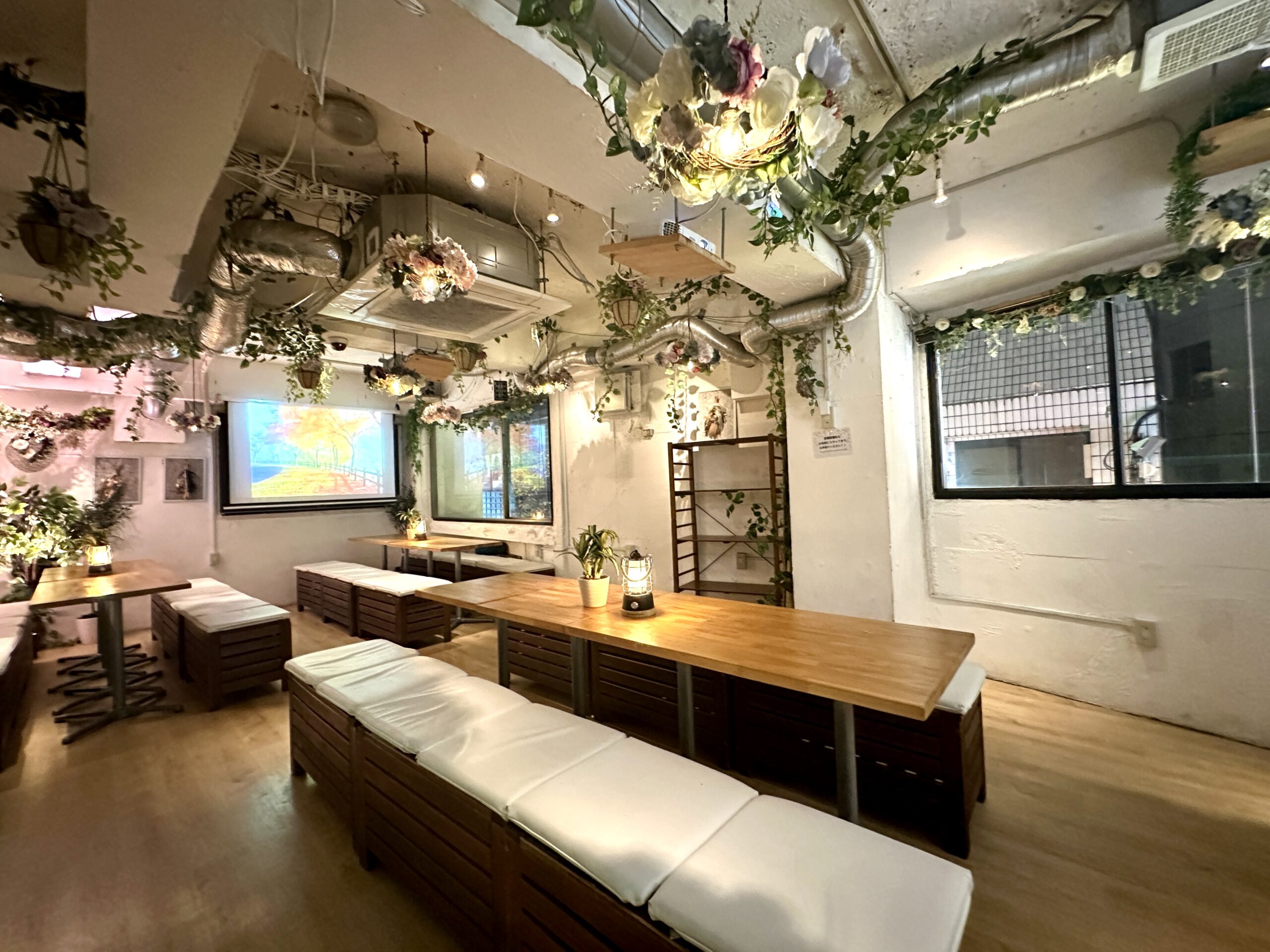 渋谷　居酒屋　20人～30人