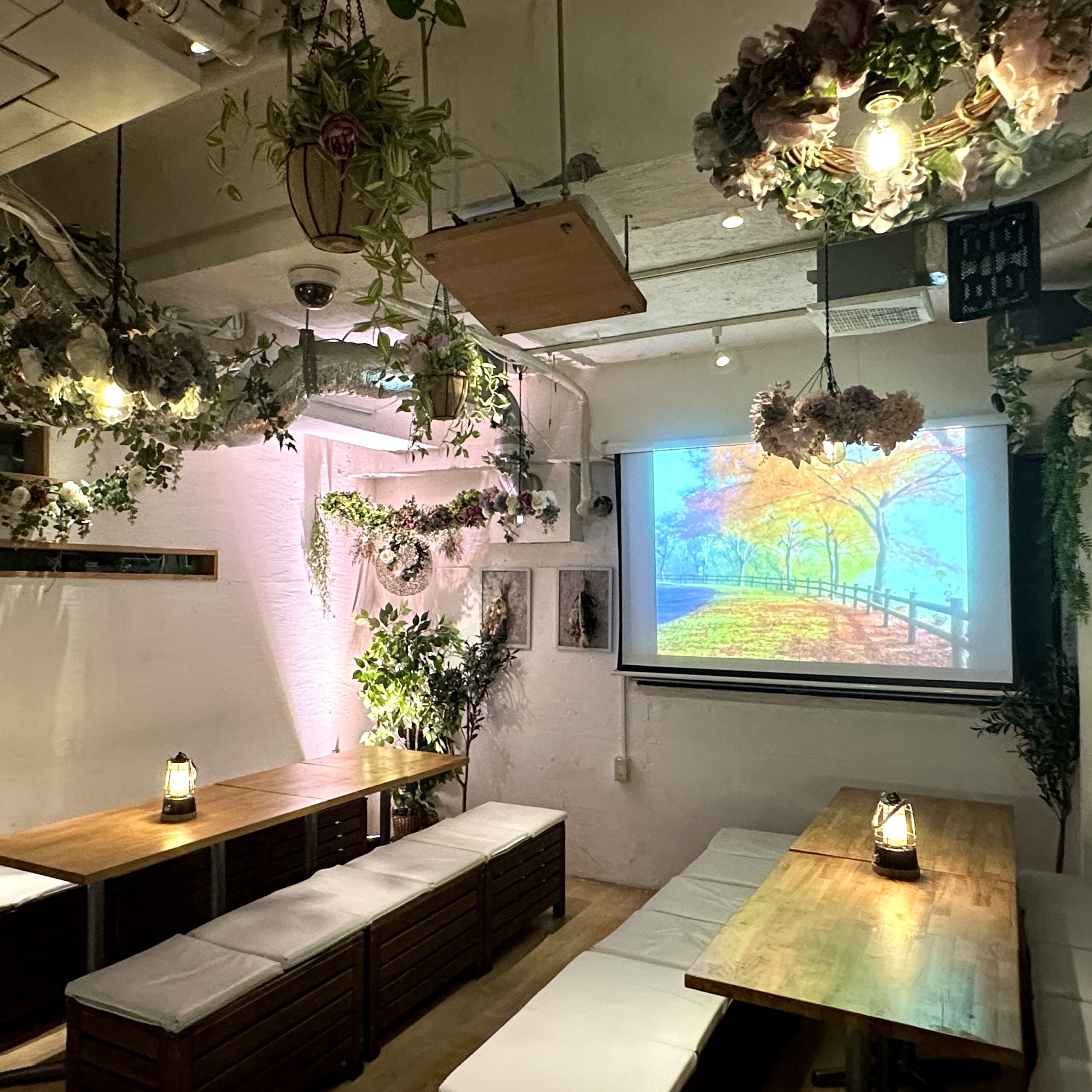 渋谷　貸切　誕生日会