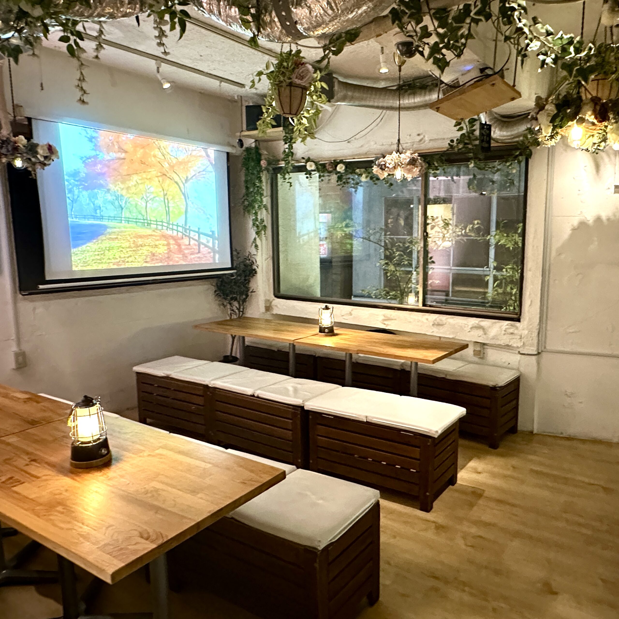 渋谷　居酒屋　20人～30人