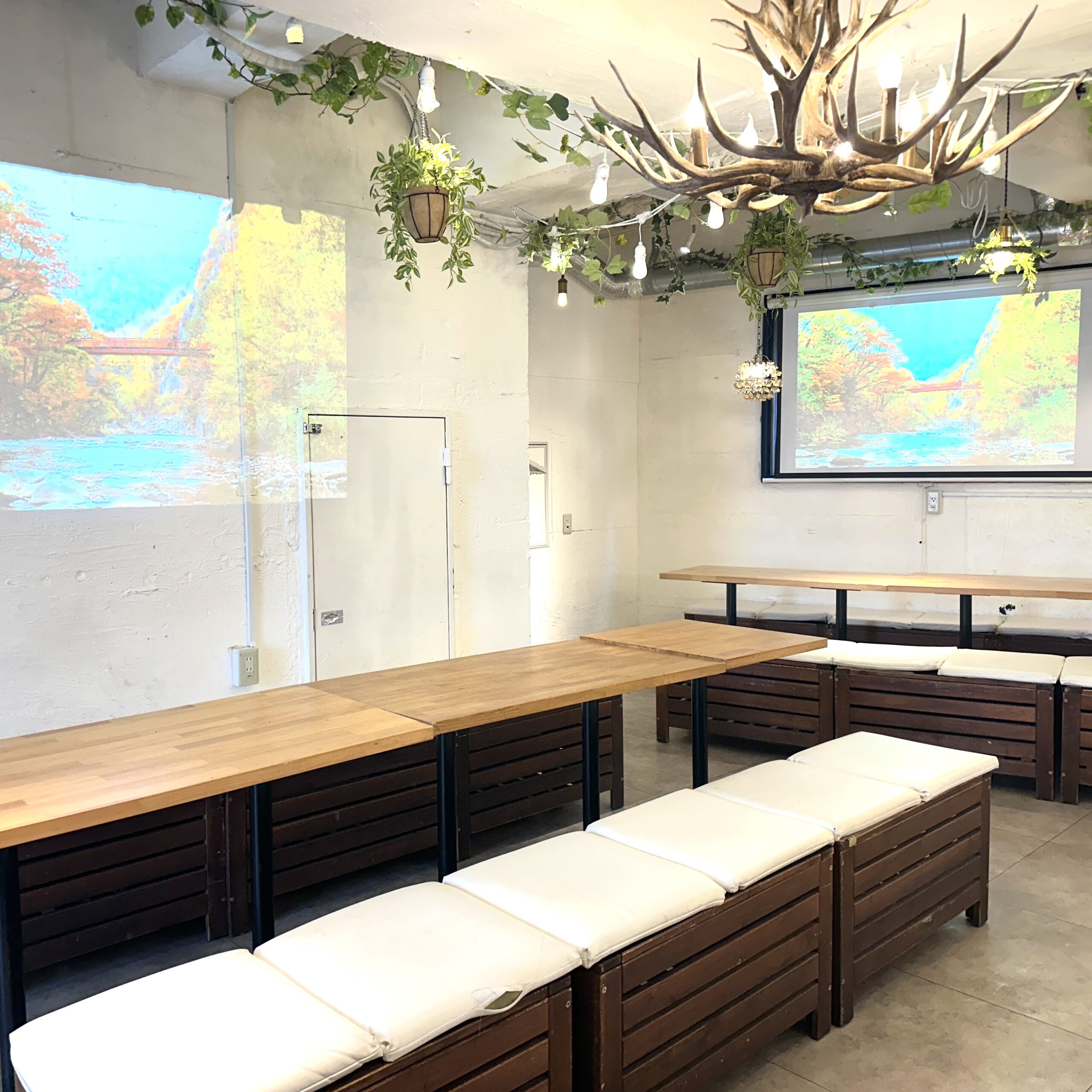 渋谷　貸切　50人～100人