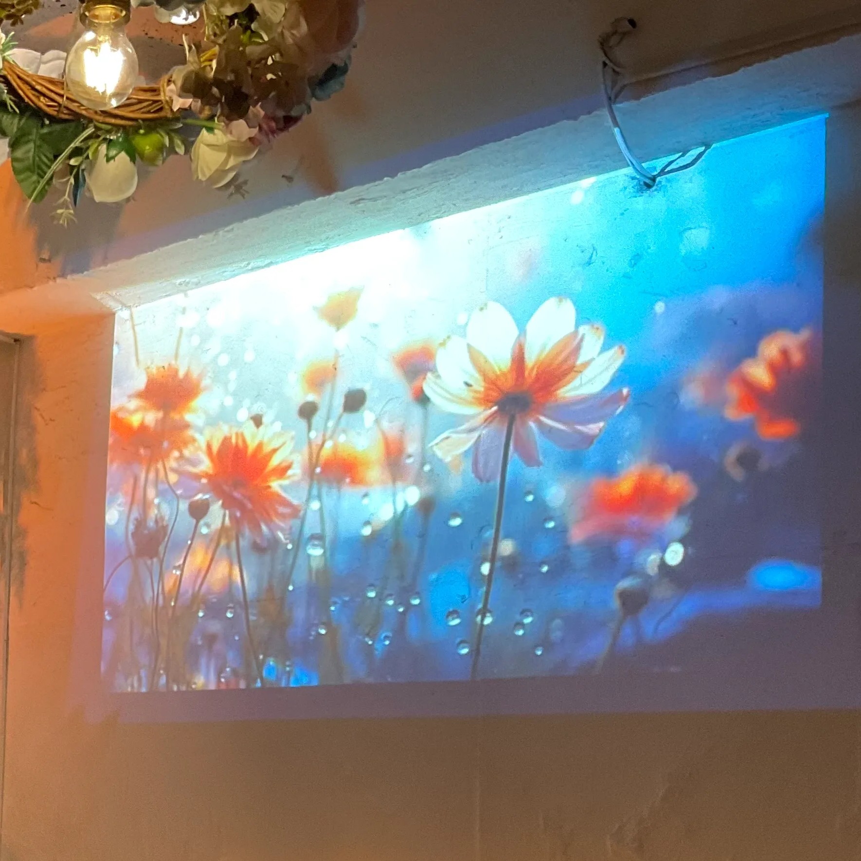 渋谷　居酒屋　20人～30人