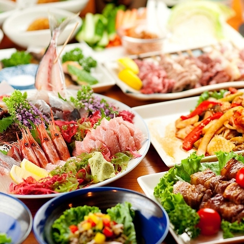 神田・秋葉原エリア×貸切×100人　料理2