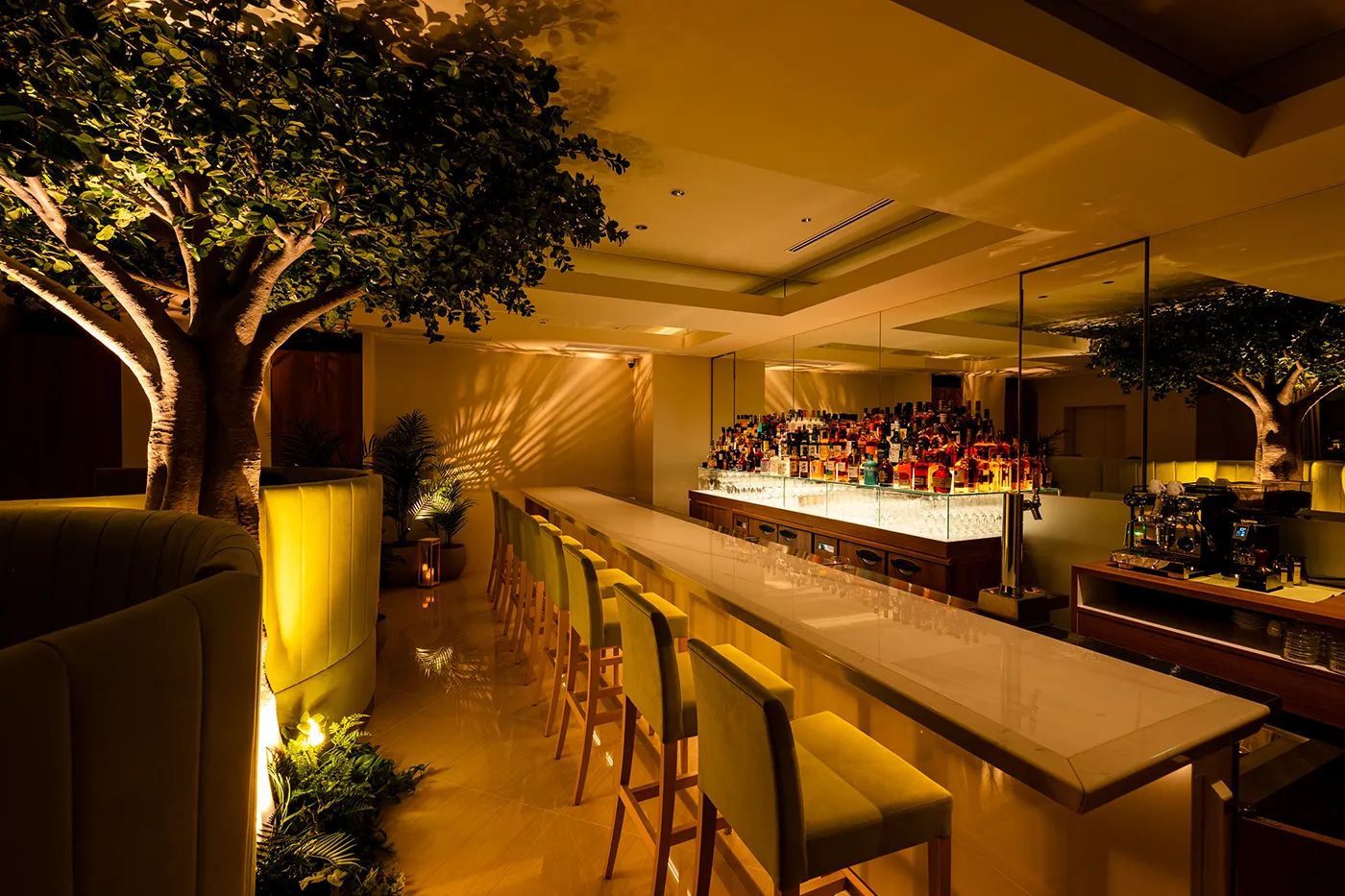 恵比寿×貸切×20人~30人 内観8